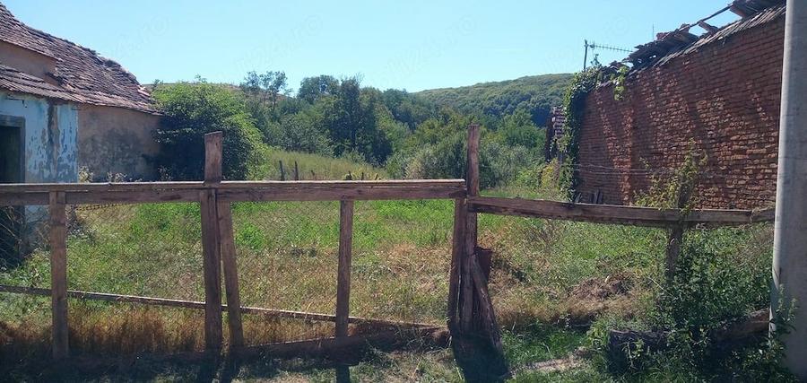 Casă cu Teren 3000 Mp în Șalcău