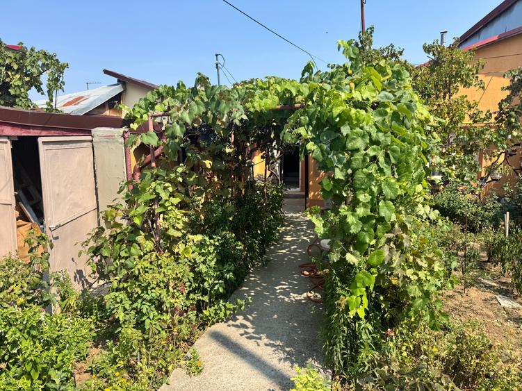 Casă individuală cu 3 camere cu Canalizare în Chitila