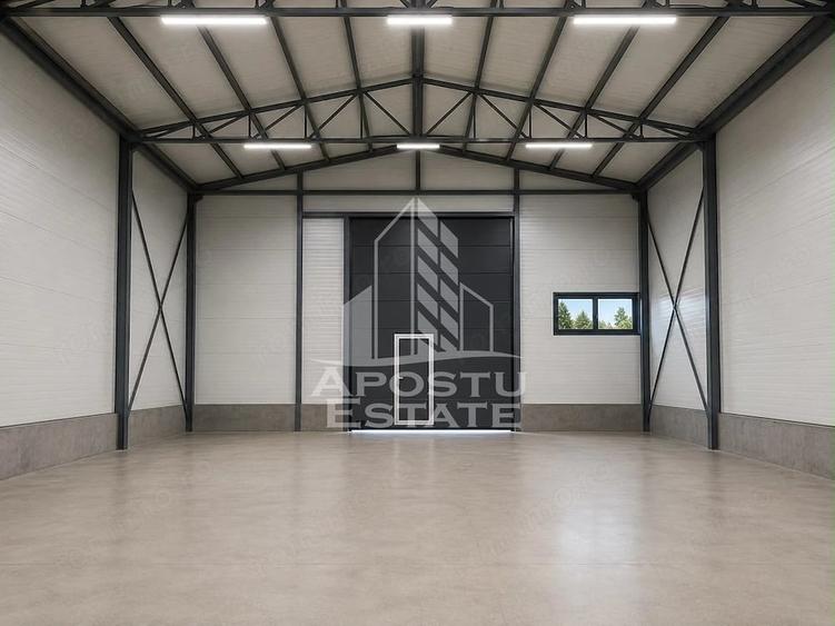 Spațiu comercial, de 600 mp, în Mehala