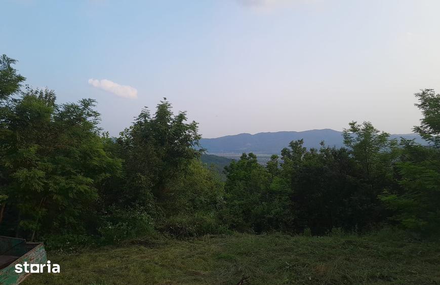 Casă cu 5 camere cu Teren 9515 Mp în Șerbănești