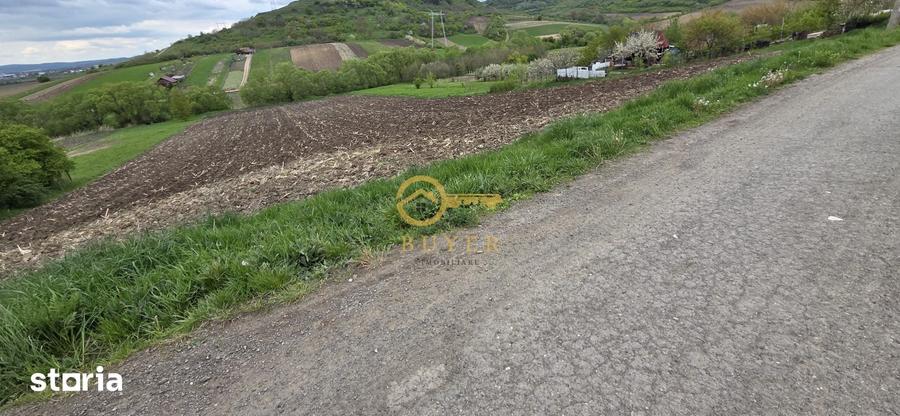 Teren de 2500 mp, în Gușterița
