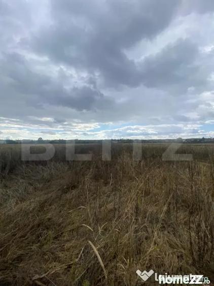 Teren de 2500 mp, în Central