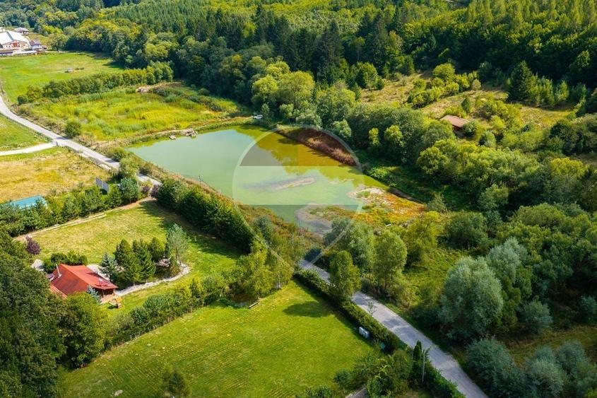 Teren Construcții intravilan de 62330 mp, în Nord-Vest