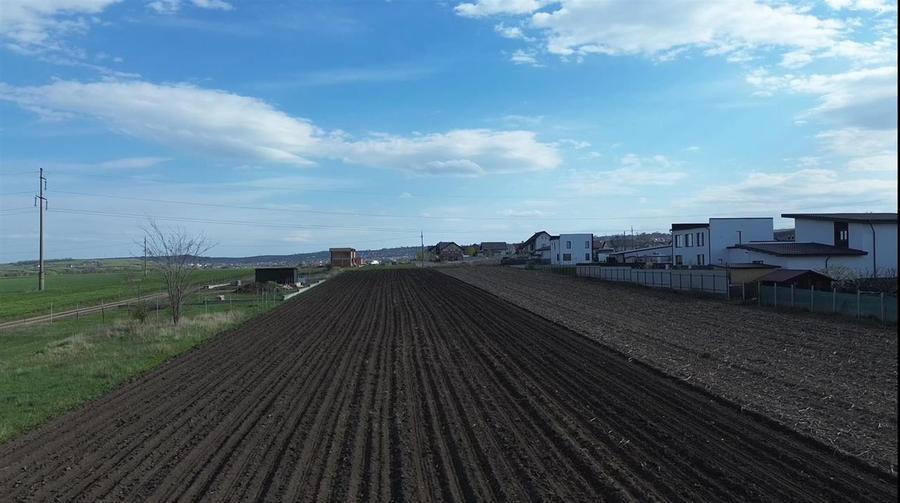 Teren Construcții intravilan de 3498 mp, în Tișăuți