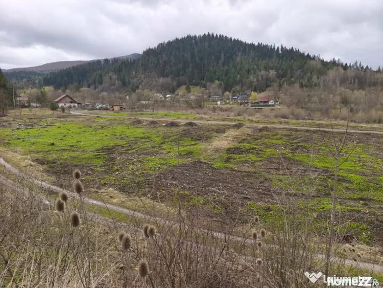 Teren de 22600 mp, în Sucevița