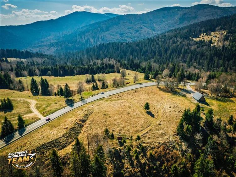 Teren Construcții intravilan de 5800 mp, în Ojdula