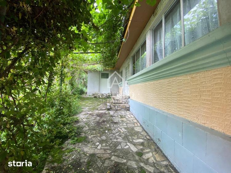 Teren de 15900 mp, în Năeni