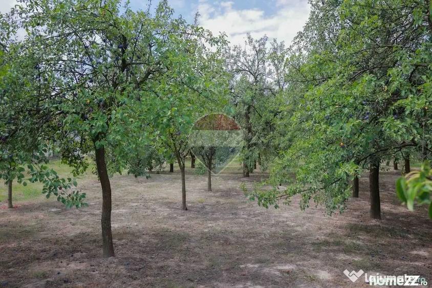 Casă cu 3 camere cu Teren 8788 Mp în Forosig