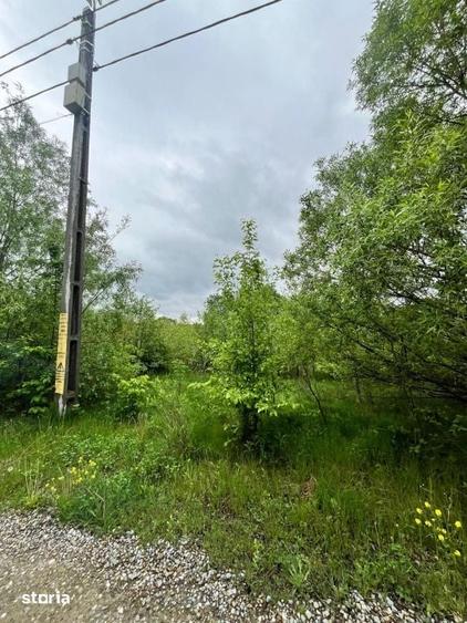 Teren de 2300 mp, în Pojorâta