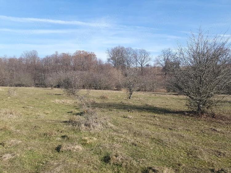 Teren de 4100 mp, în Vlădeni