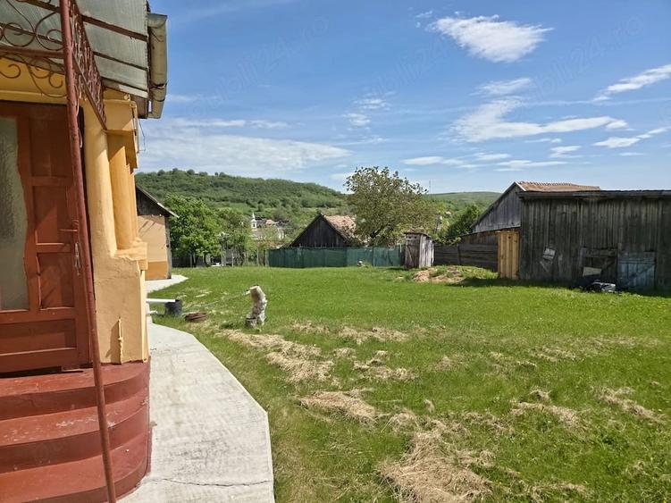 Casă cu Teren 1280 Mp în Alămor