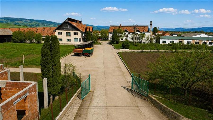 Teren Construcții intravilan de 25391 mp, în Boroșneu Mare