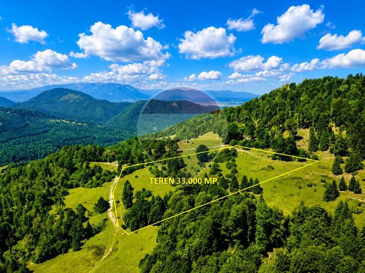 Teren agricol extravilan de 33319 mp, în Vlădeț - Trei Brazi