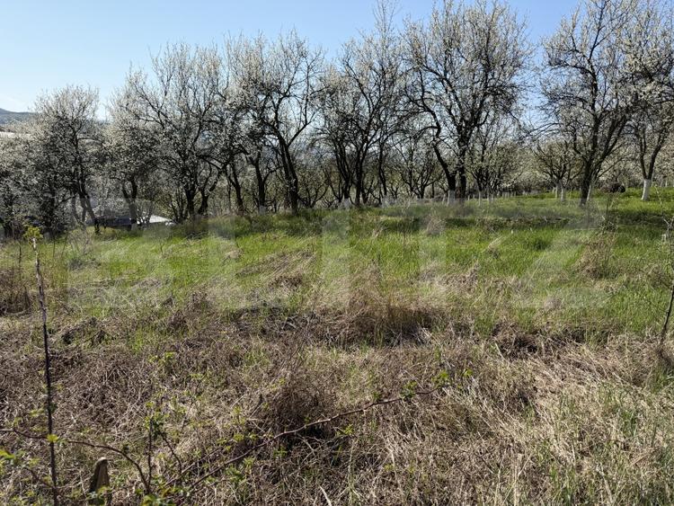 Teren Construcții intravilan de 2743 mp, în Crișeni