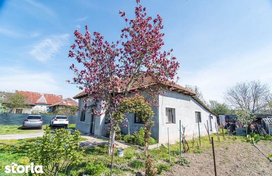 Casa + 948 MP Teren | Merisani - 8