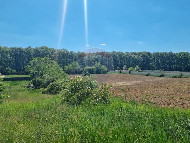 Teren Construcții intravilan de 872.42999267578 mp, în Snagov
