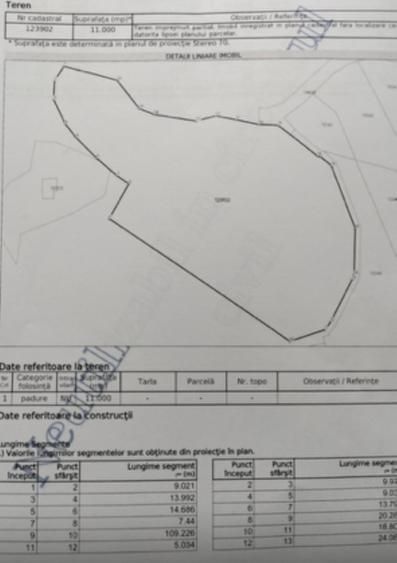 Teren intravilan de 24880 mp, în Griviței
