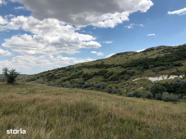 Teren de 500000 mp, în Gura Vadului