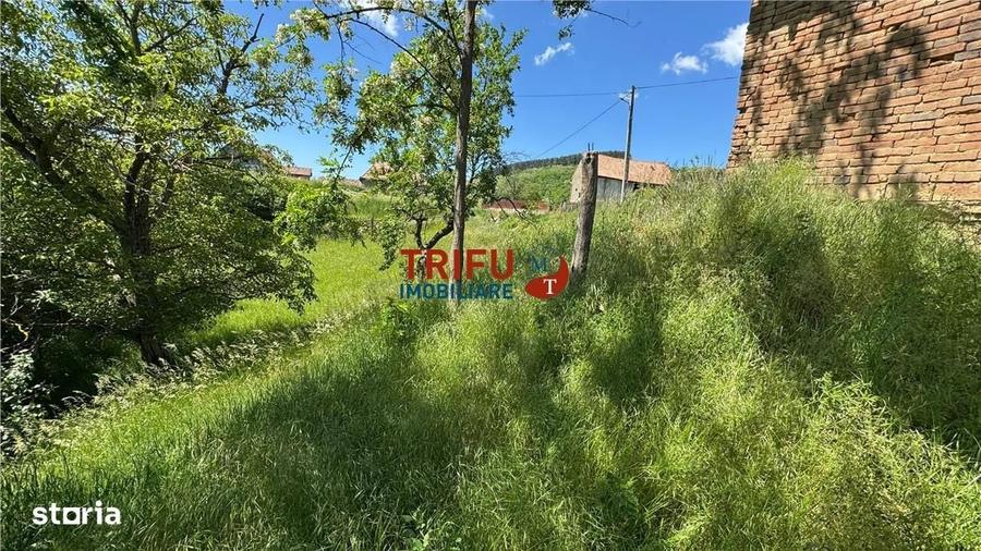 Casă cu 2 camere în Valea Vințului