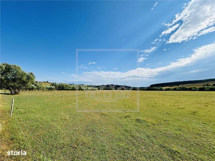 Teren intravilan, 5861 mp - Tocile - 7