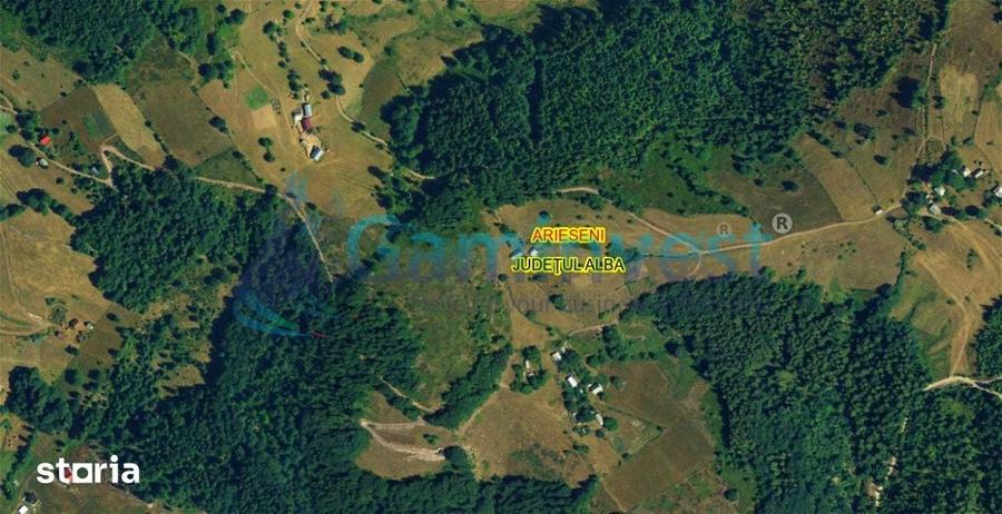 Teren de 16517 mp, în Arieșeni