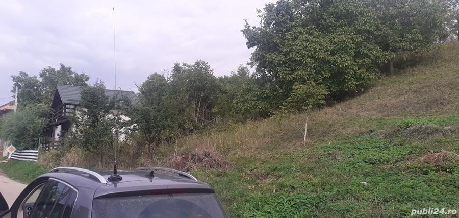 Teren de 555 mp, în Viforâta
