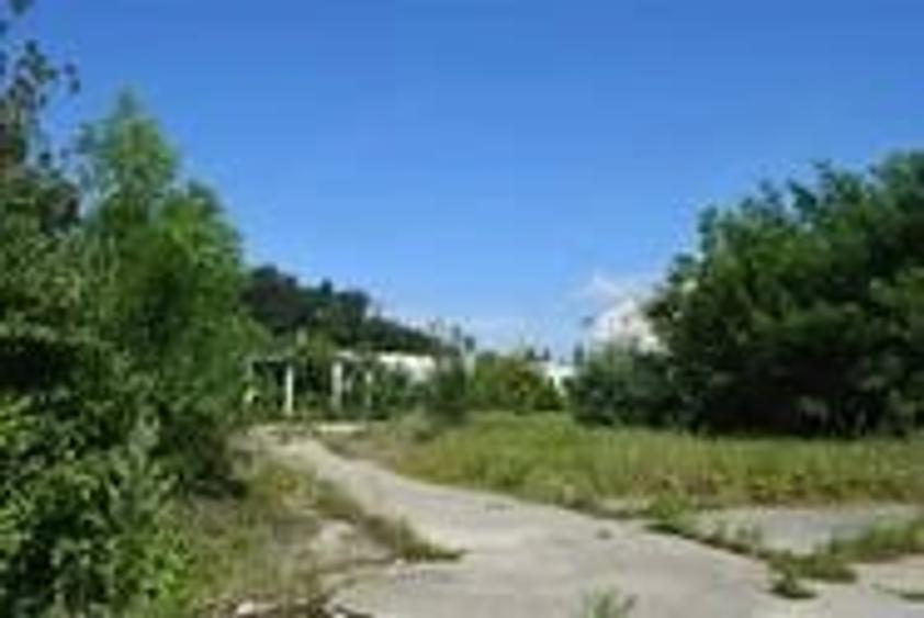 Teren de 50500 mp, în Central