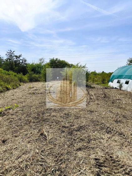 Teren Timisoara 5800mp. Proprietar - 2