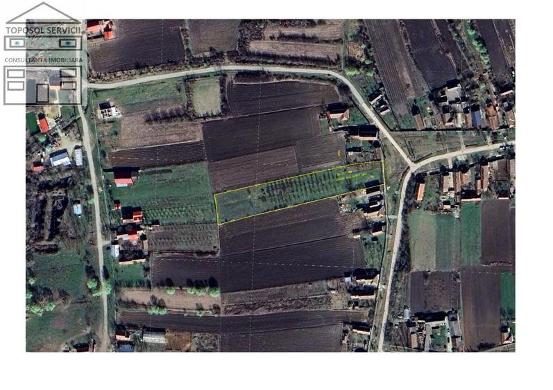 Teren Construcții intravilan de 5111 mp, în Sânnicolau Român