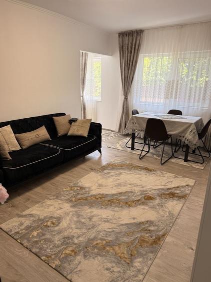 Apartament cu 2 camere de inchiriat Brosteni - 5