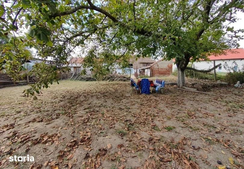 Casă cu 3 camere cu Teren 2448 Mp în Chesinț