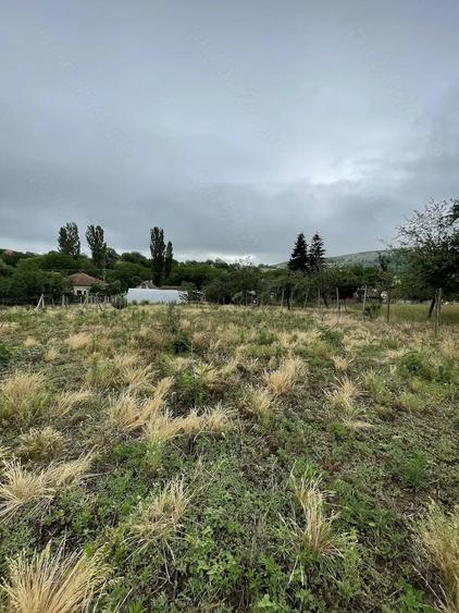 Casă cu Teren 1411 Mp în Măderat