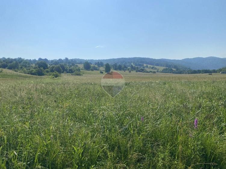 Teren agricol extravilan de 4306 mp, în Vama Buzăului