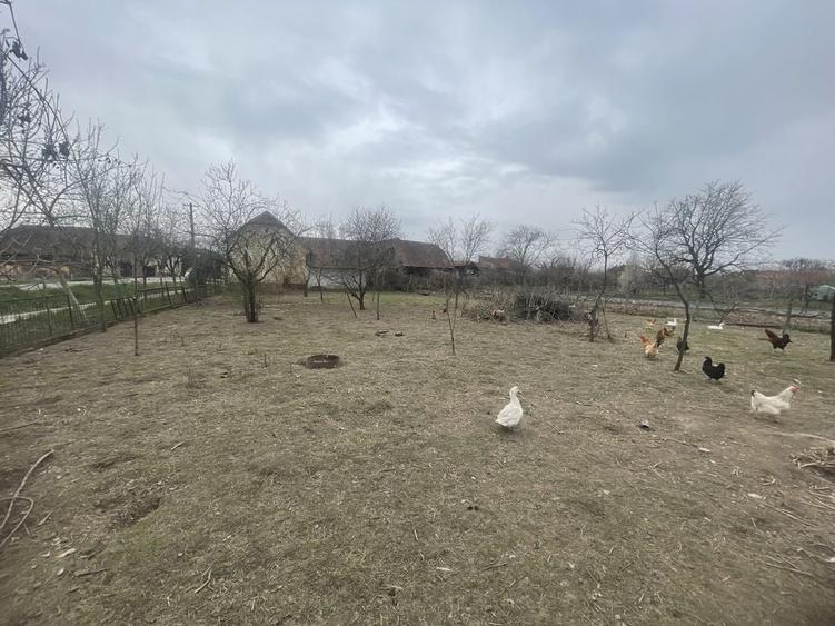 Casă cu 4 camere în Buteni