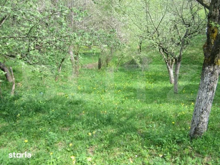 Teren de 884 mp, în Runcu