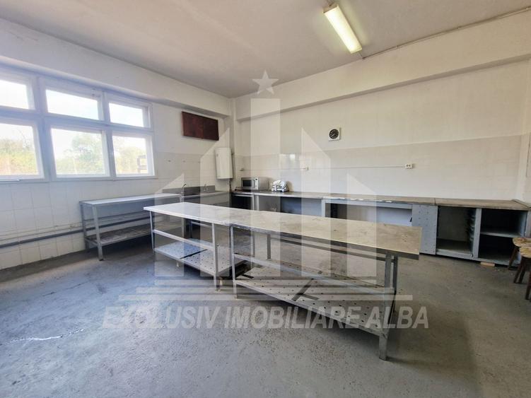 Spațiu industrial, de 1,100 mp, în Bărăbanț