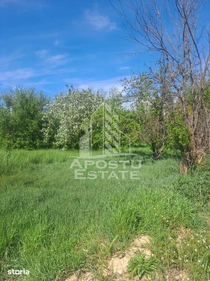 Casă cu 2 camere cu Teren 5075 Mp în Foeni