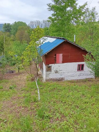 Moreni, Dambovita - 1
