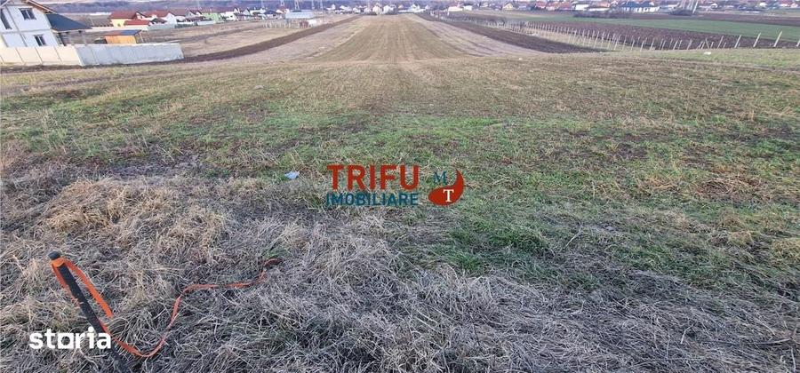 Teren de 2125 mp, în Bărăbanț
