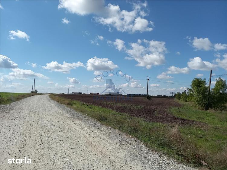 Teren de 20000 mp, în Pielești