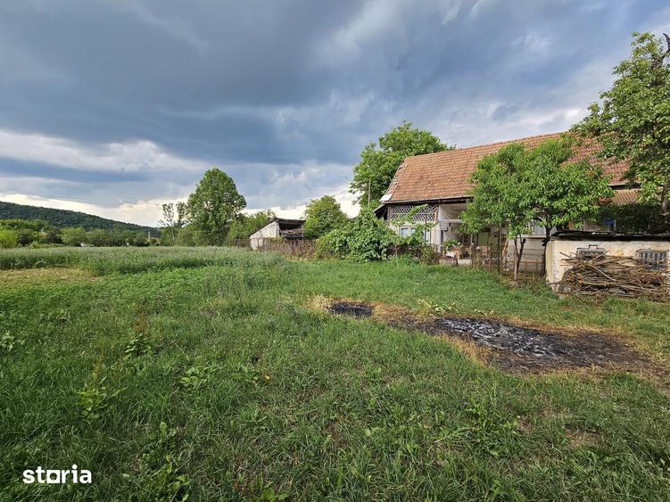 Casă cu 5 camere cu Teren 3498 Mp în Vața de Jos