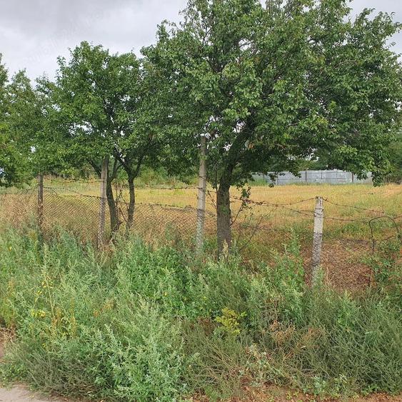 Teren de 1500 mp, în Spiru Haret