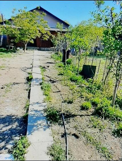 Proprietar vand casa noua 2024 in zona Ronat - 4