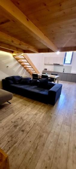 Apartament cu 18 camere semidecomandat, mobilat în Central
