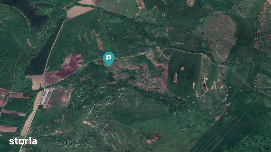 Teren de 1950000 mp, în Cincu