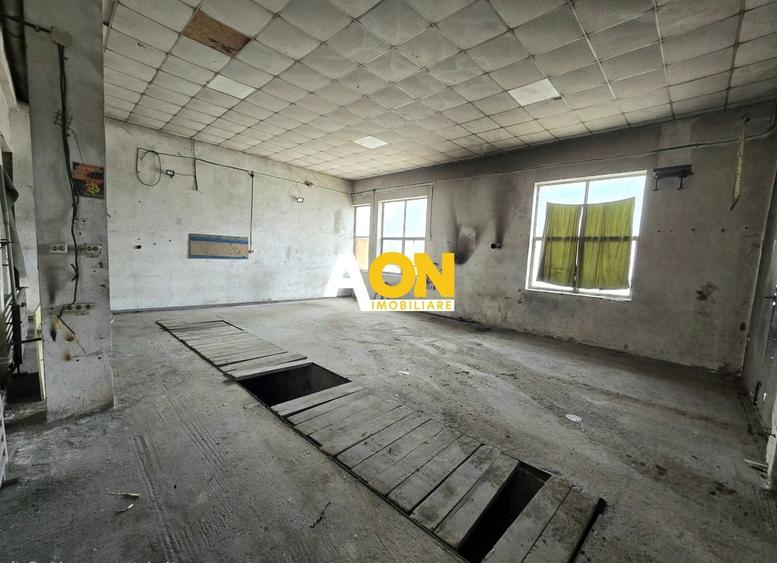 Spațiu industrial, de 100 mp, în Bărăbanț