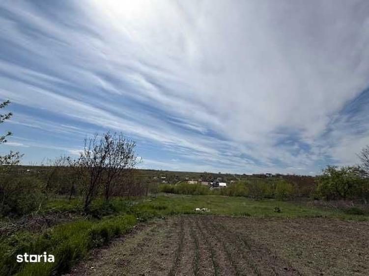 Teren Intravilan Miroslava, Proselnici, 7000mp - 5