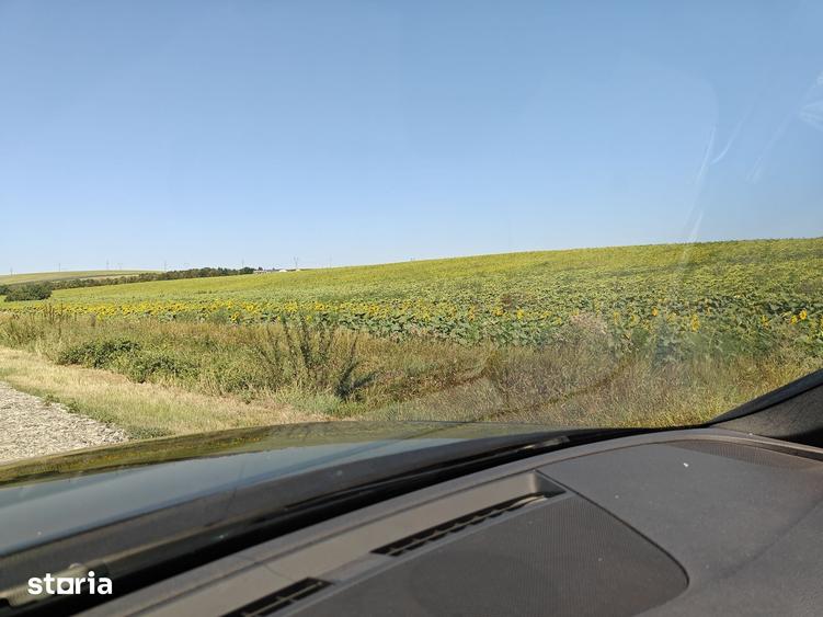 Teren de 25000 mp, în Lețcani