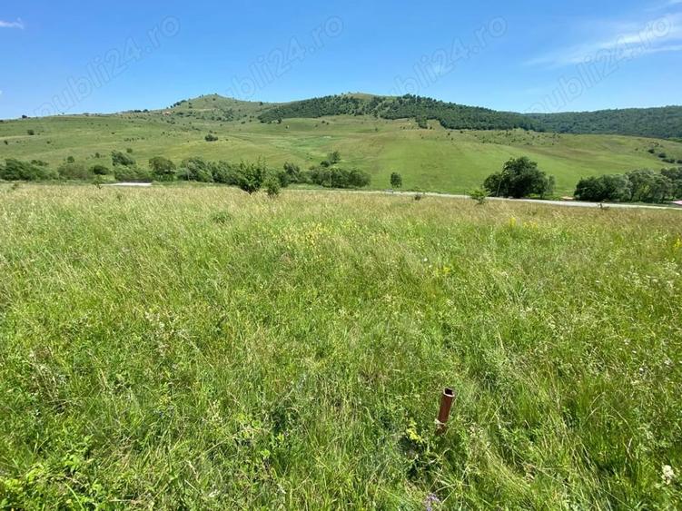 Teren de 1100 mp, în Sălicea