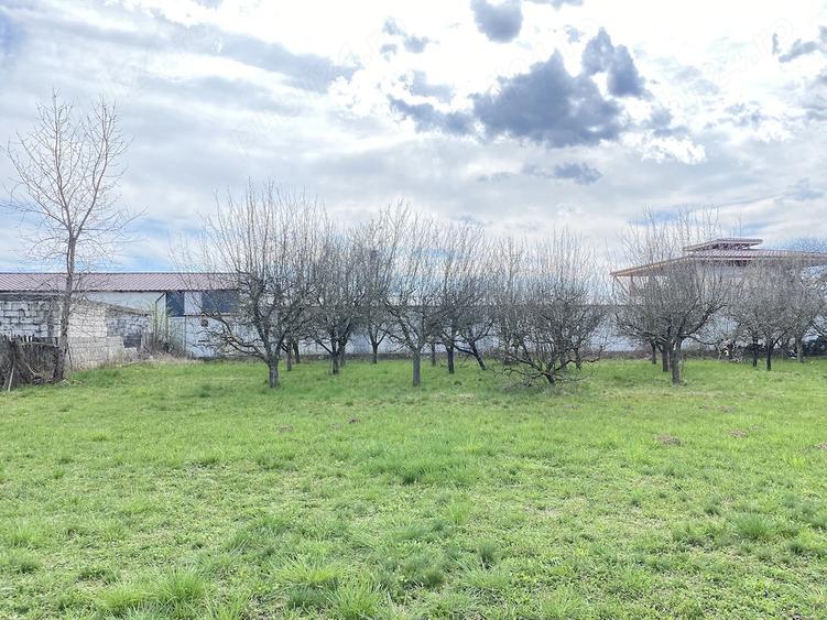 Teren de 7000 mp, în Berevoești